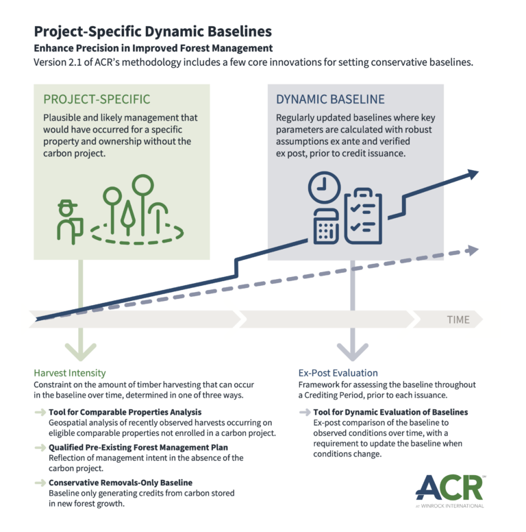 Project-Specific Dynamic Baselines Enhance Precision in IFM - ACR